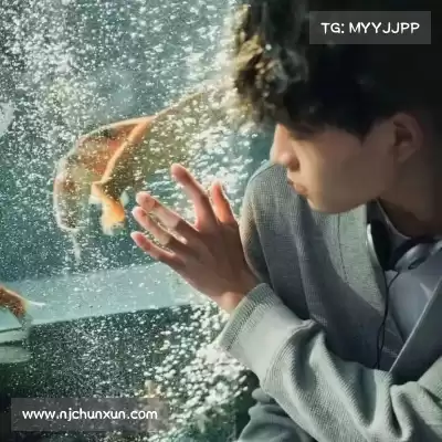 孔日馨
